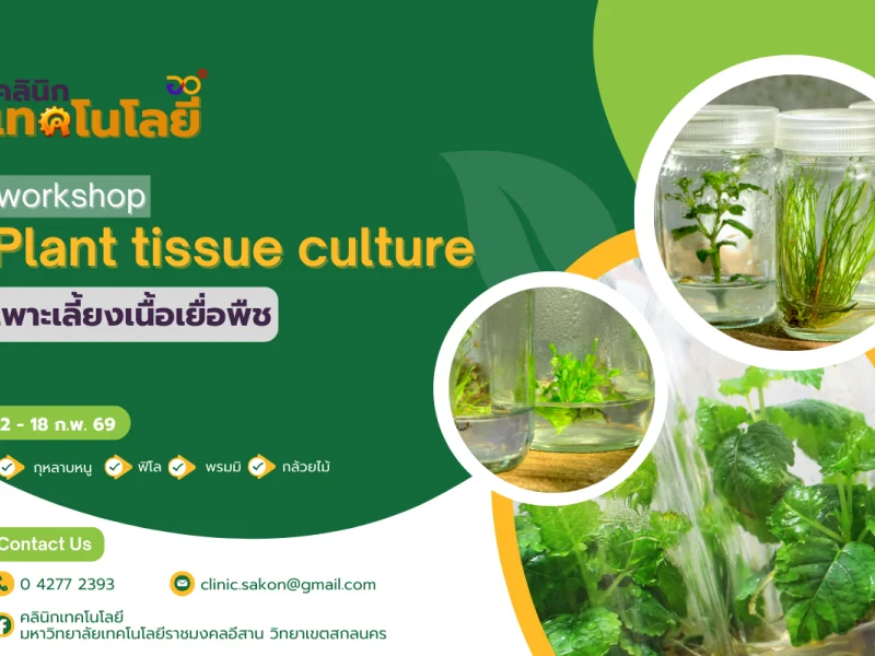 Workshop : Plant Tissue Culture เปิดโลกวิทยาศาสตร์แห่งการ เพาะเลี้ยงเนื้อเยื่อพืช